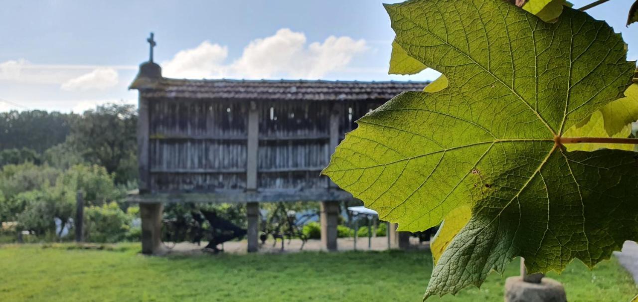 Fogar Do Selmo Konuk evi Rois Dış mekan fotoğraf