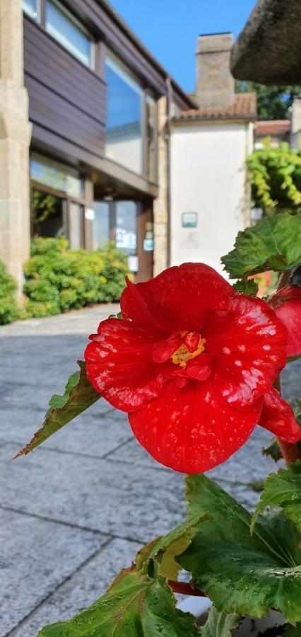 Fogar Do Selmo Konuk evi Rois Dış mekan fotoğraf